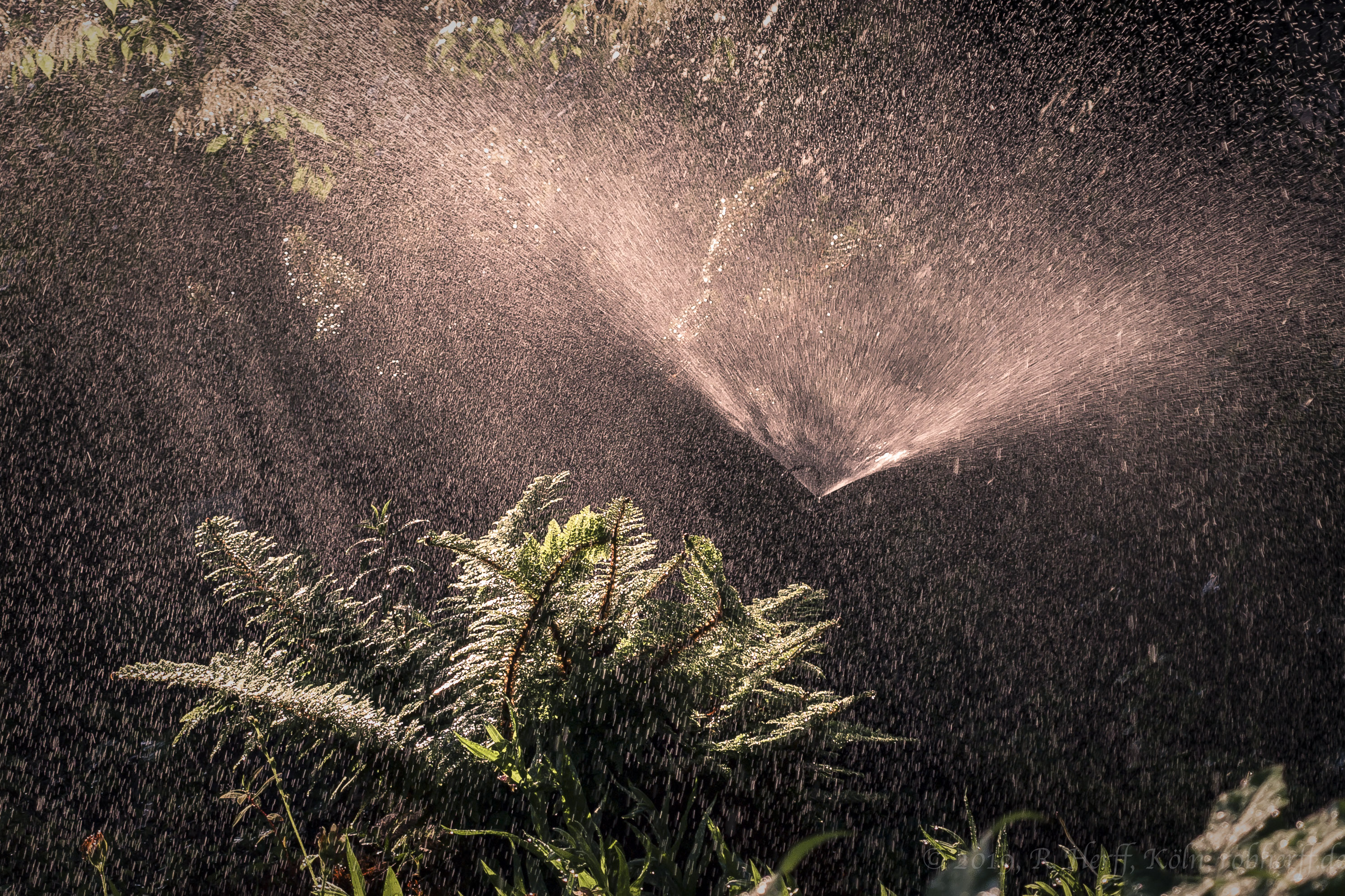 Rain Maker