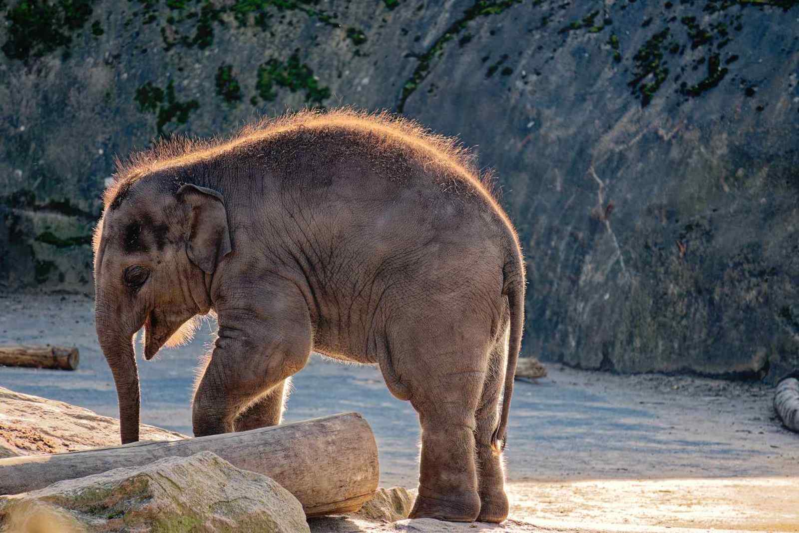 "Happy Birthday, Taro!"