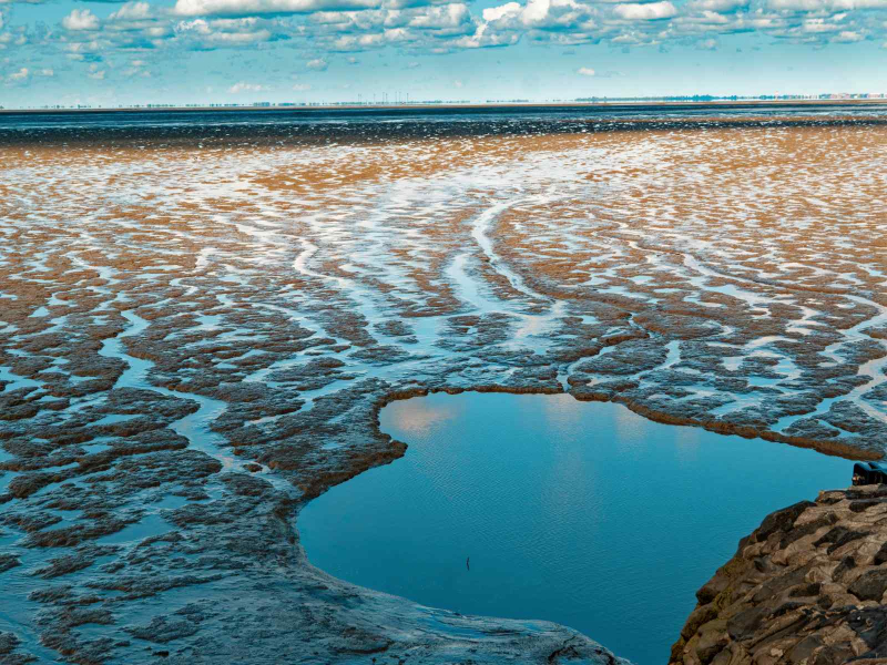 Rob Herff: Sea Eye